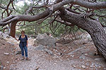 Wanderung durch die Lyssos Schlucht