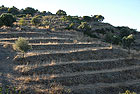 Kreta Kombinationsreise mit Kythira: Bildkythira_16.jpg