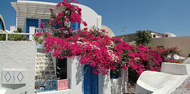 Inselkombi Bouganville, Santorin / Kreta